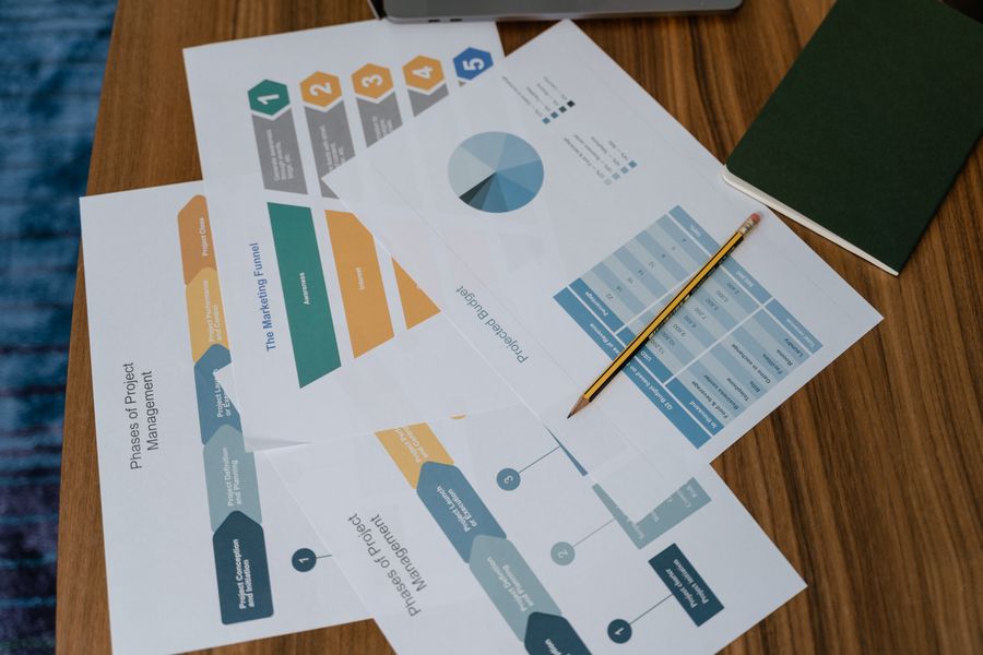 project organization