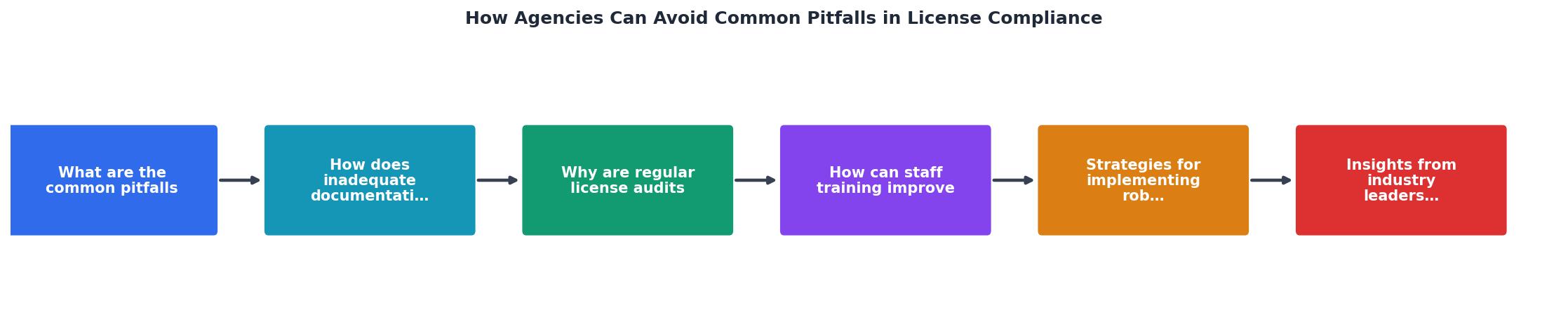 How Agencies Can Avoid Common Pitfalls in License Compliance process