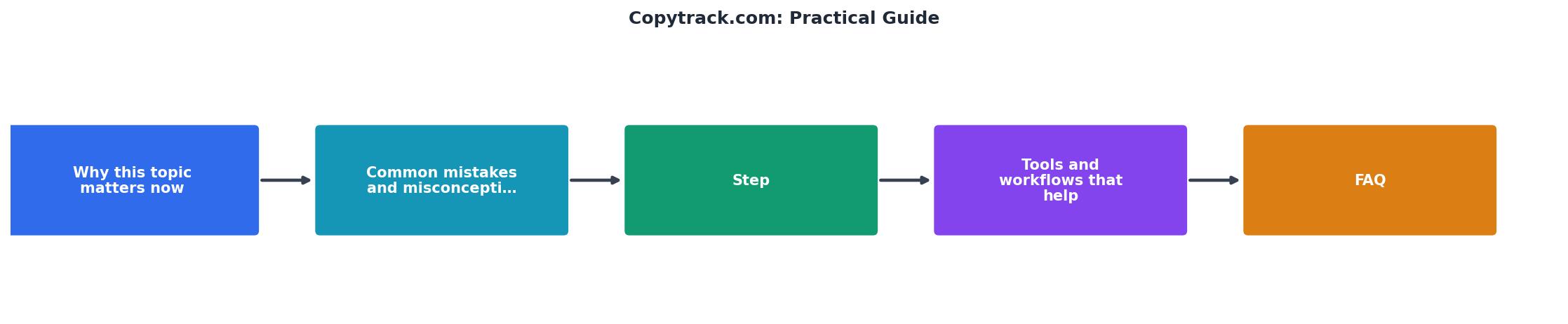 Copytrack.com: Practical Guide process