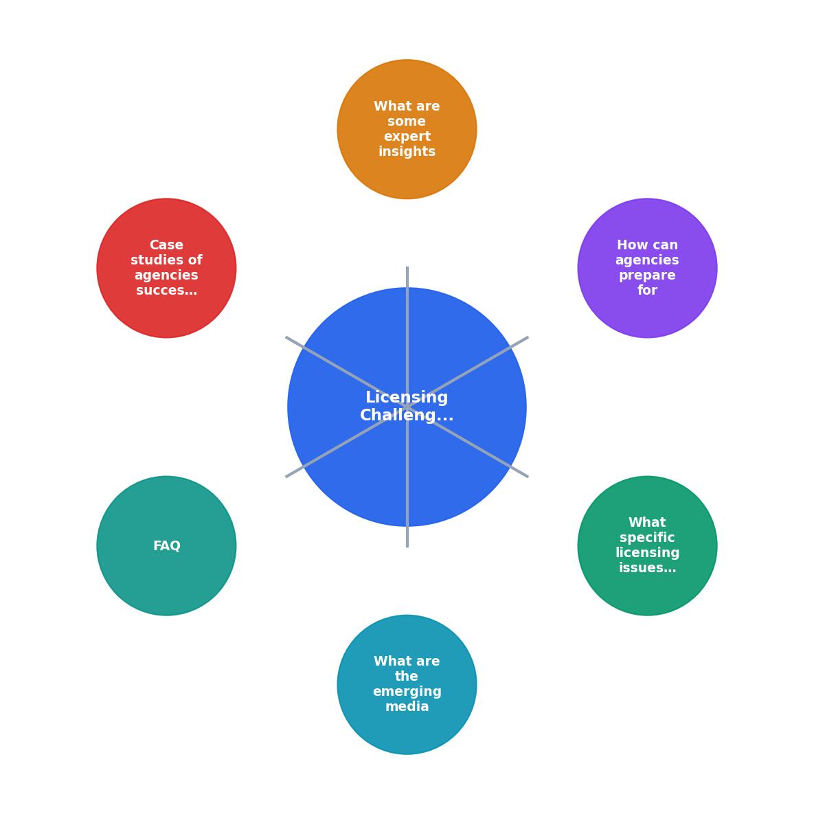 Licensing Challenges for Agencies in Emerging Media process