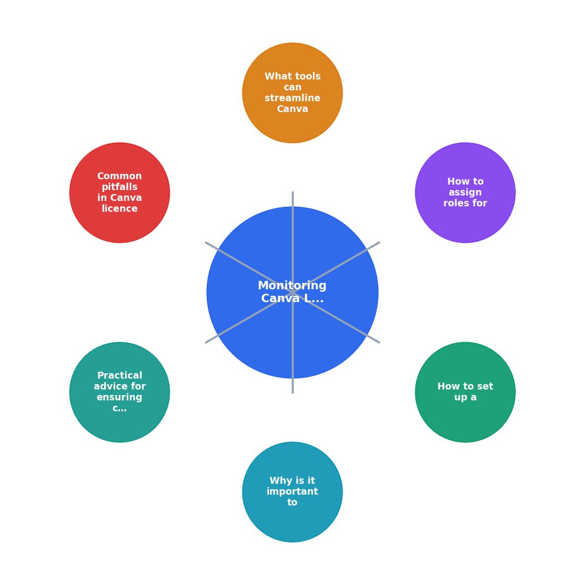 Monitoring Canva Licences Across Projects process