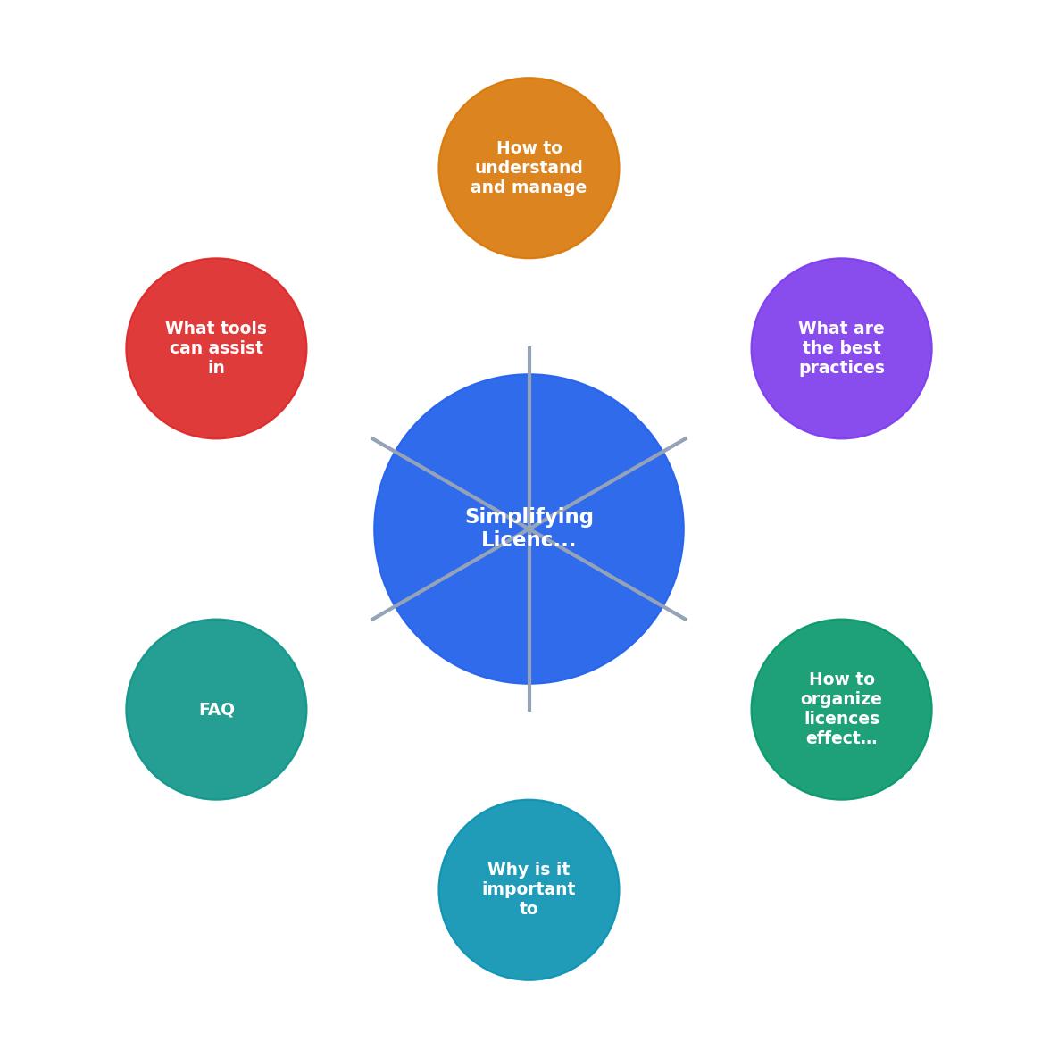 Simplifying Licence Management for Small Businesses process