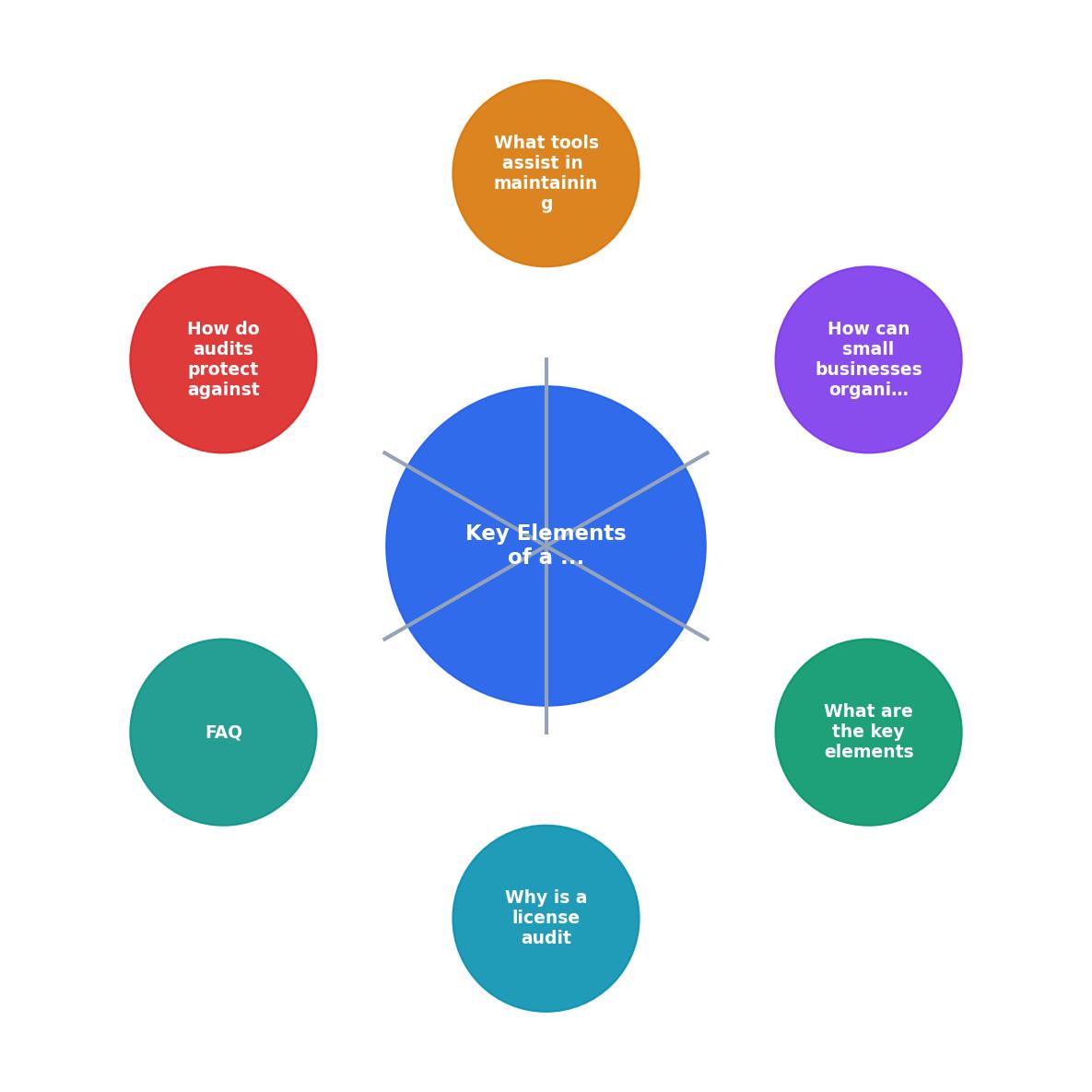 Key Elements of a Small Business License Audit process