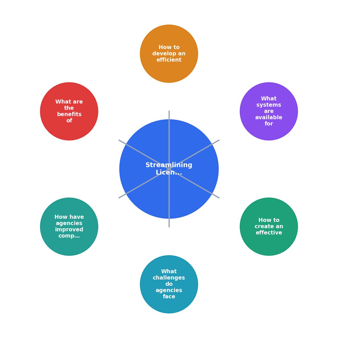 Streamlining Licence Management Processes for Agencies process