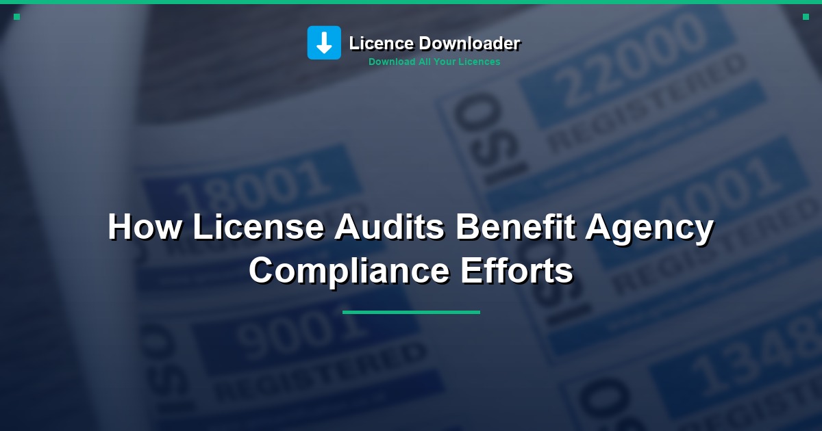 How License Audits Benefit Agency Compliance Efforts