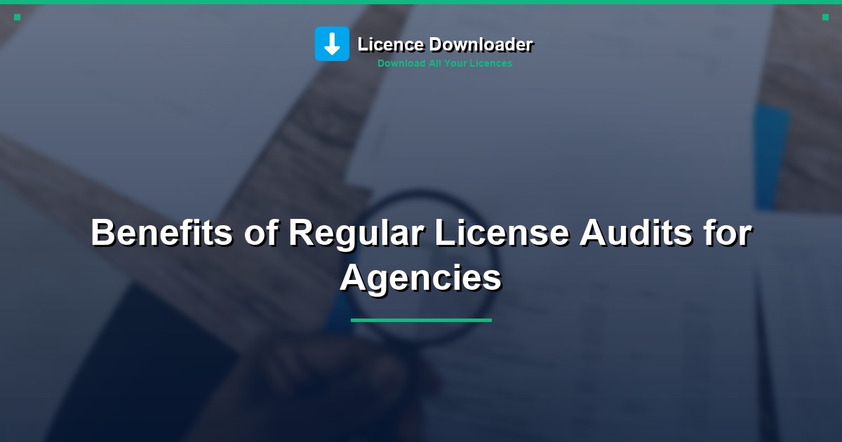 Benefits of Regular License Audits for Agencies
