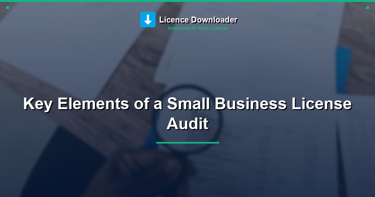 Key Elements of a Small Business License Audit