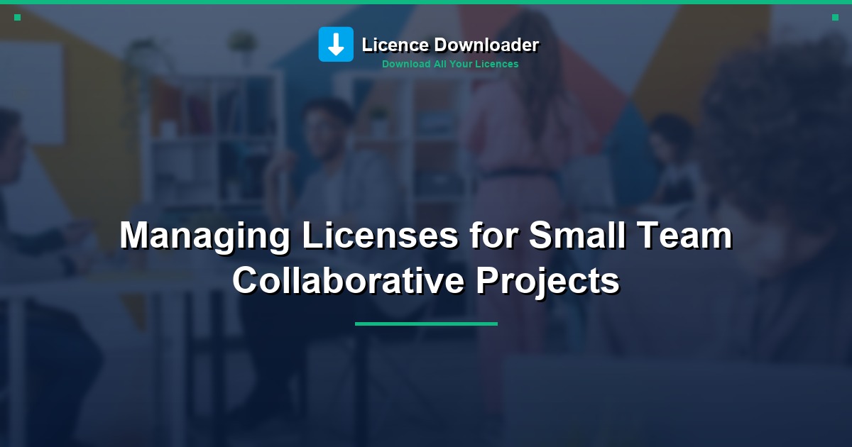 Managing Licenses for Small Team Collaborative Projects