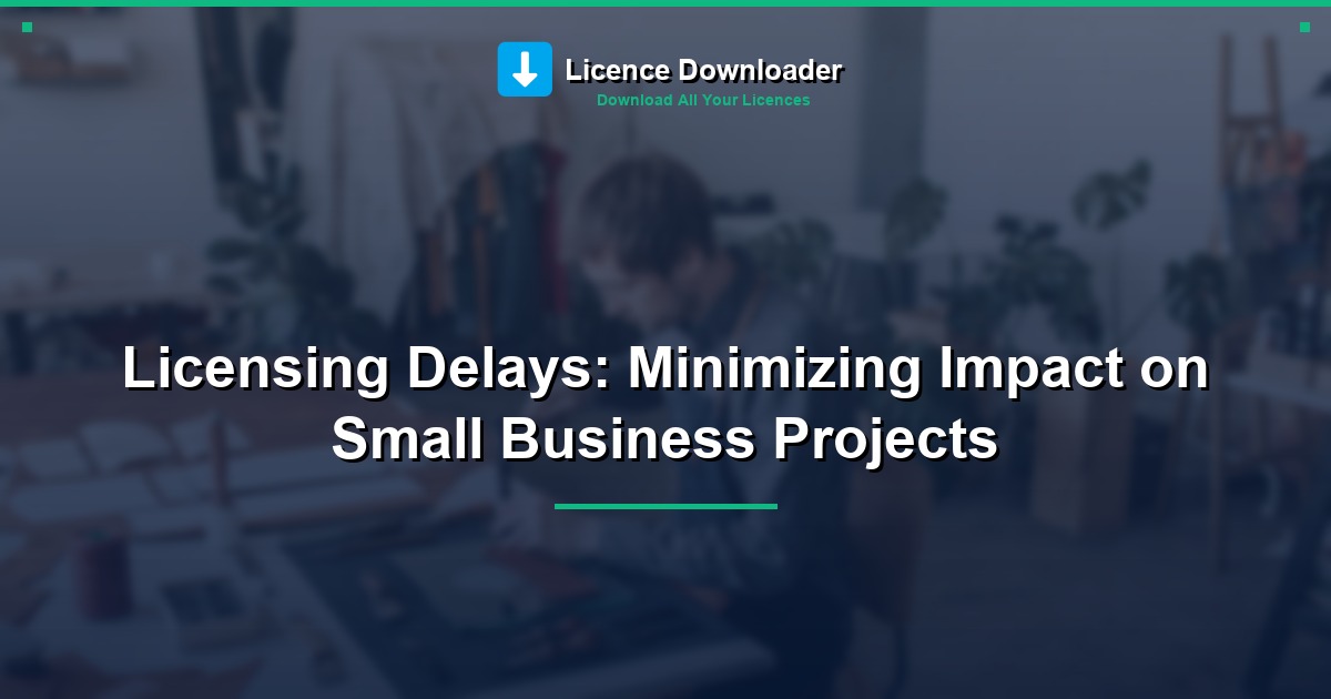 Licensing Delays: Minimizing Impact on Small Business Projects