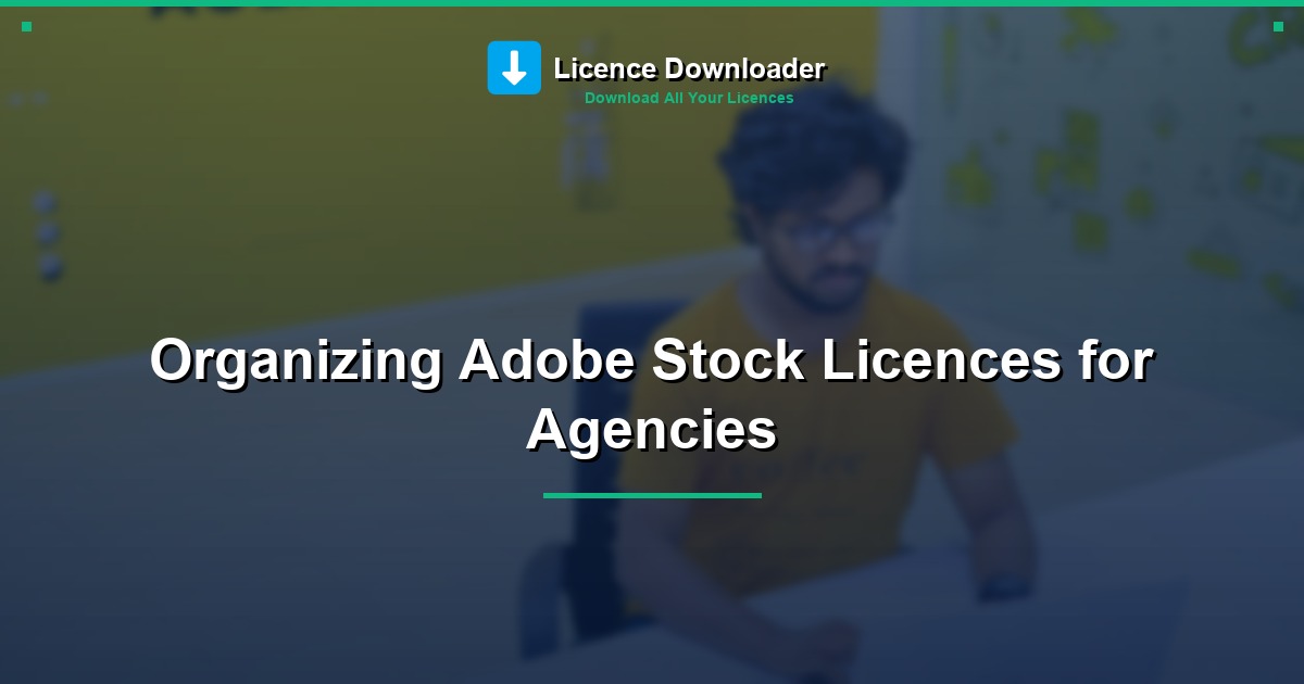Organizing Adobe Stock Licences for Agencies
