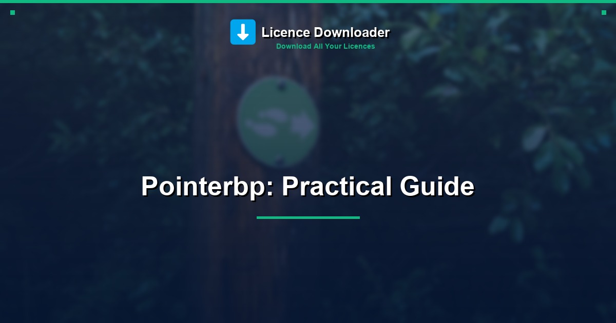 Pointerbp: Practical Guide