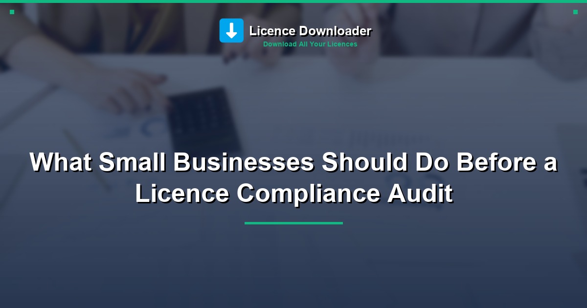 What Small Businesses Should Do Before a Licence Compliance Audit