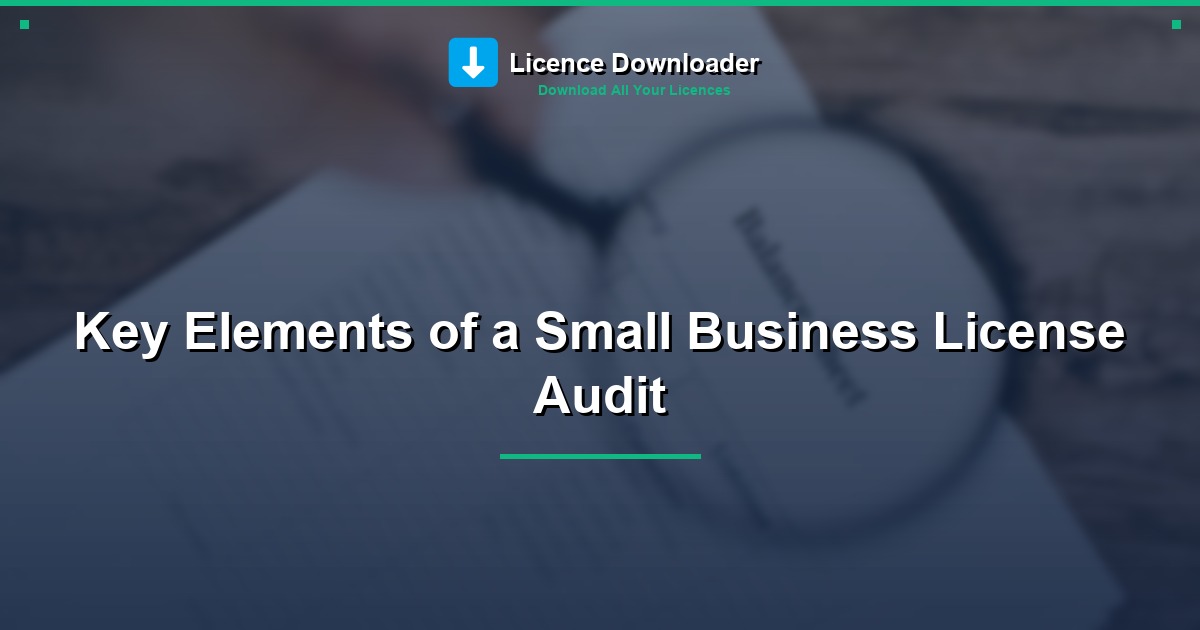 Key Elements of a Small Business License Audit